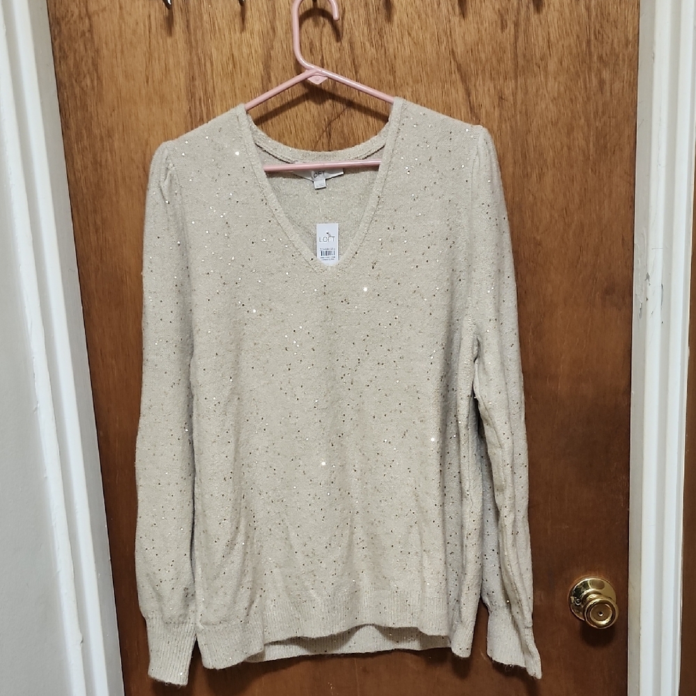 Brand New.Loft sequin V-neck sweater Woman Size XL
